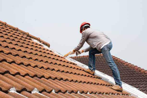 Best Asphalt Shingle Roofing  in Sharon, MS